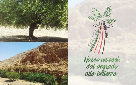 un-oasi-per-ricominciare-an-oasis-to-restart