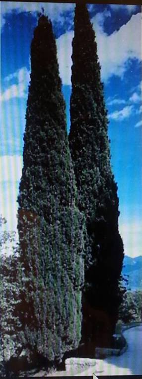 15879256_10211910369779166_1687576595_n