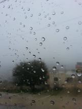 16732174_10212307472426484_1777984722_o